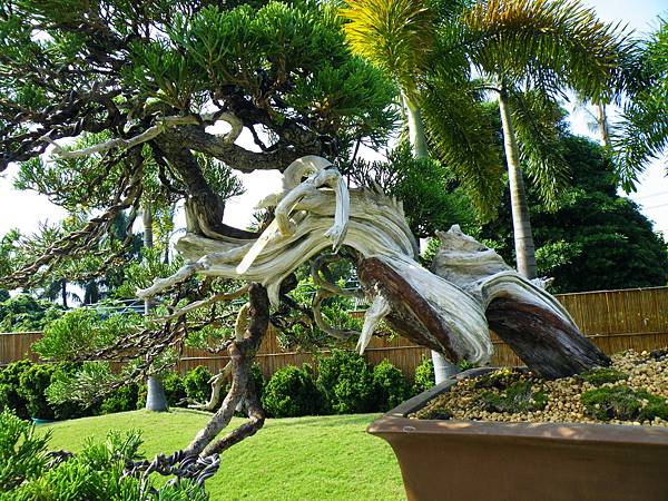 DSCF9244.JPG DSCF9244.JPG