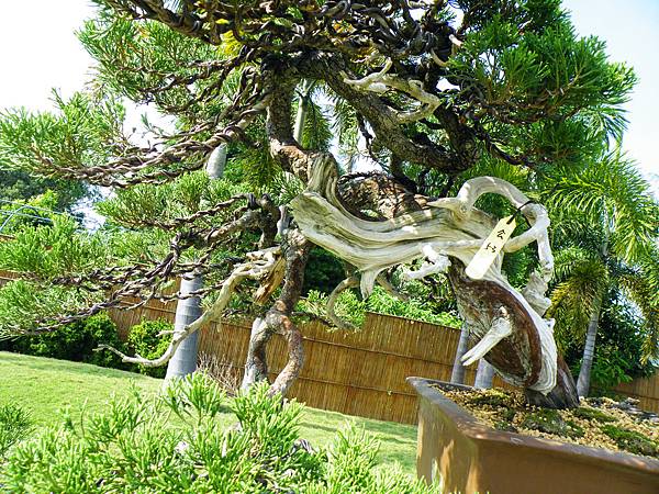 DSCF9245.JPG DSCF9245.JPG