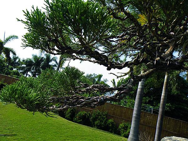 DSCF9246.JPG DSCF9246.JPG