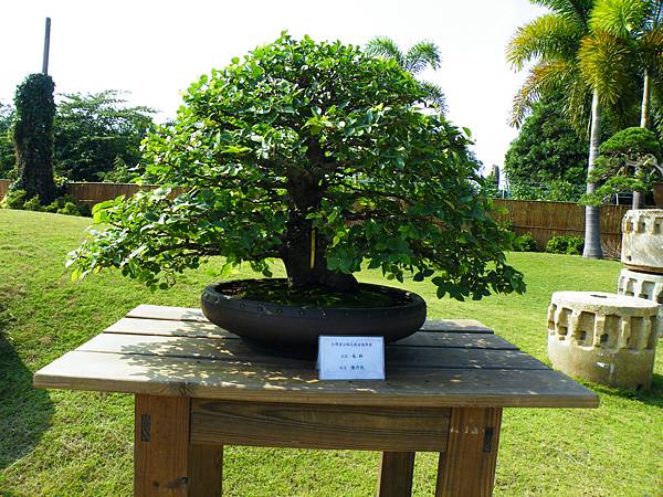 DSCF9247.JPG DSCF9247.JPG