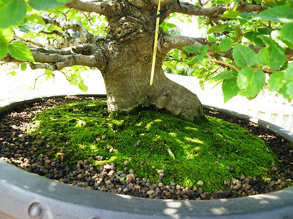 DSCF9248.JPG DSCF9248.JPG