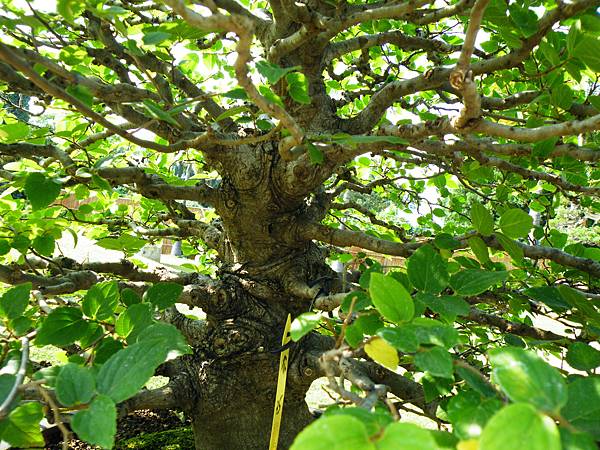 DSCF9249.JPG DSCF9249.JPG