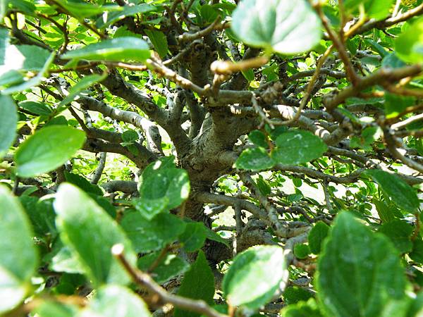 DSCF9250.JPG DSCF9250.JPG