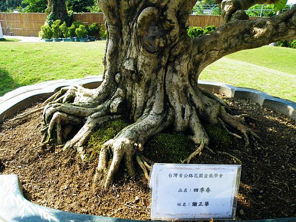 DSCF9252.JPG DSCF9252.JPG