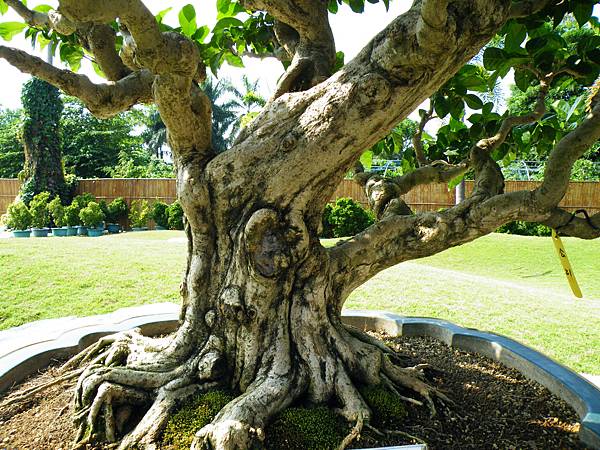 DSCF9253.JPG DSCF9253.JPG