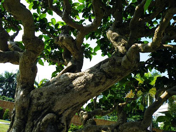 DSCF9254.JPG DSCF9254.JPG