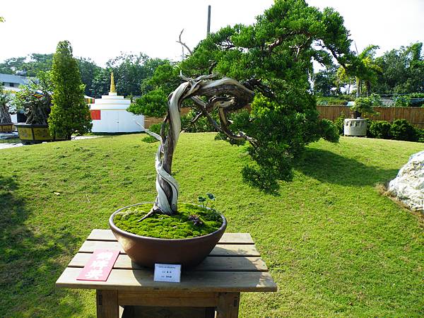 DSCF9256.JPG DSCF9256.JPG