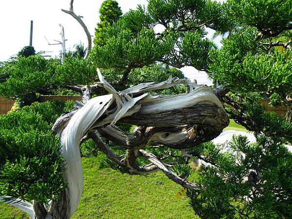 DSCF9258.JPG DSCF9258.JPG