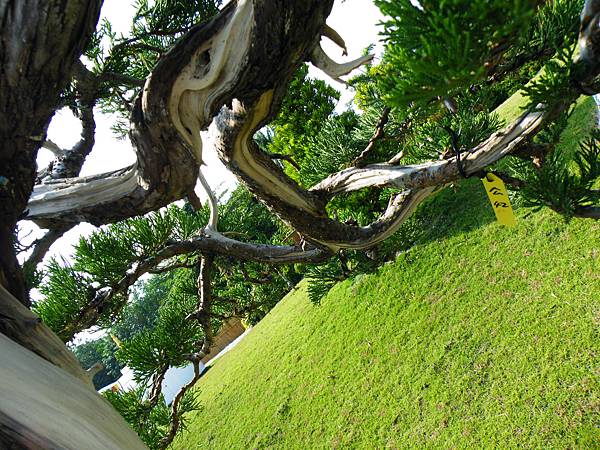 DSCF9259.JPG DSCF9259.JPG