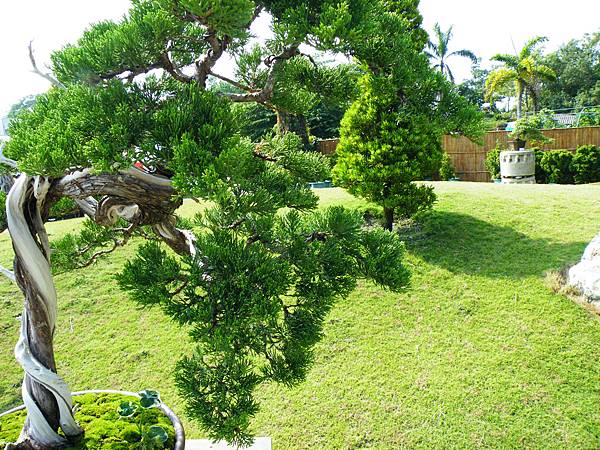 DSCF9260.JPG DSCF9260.JPG