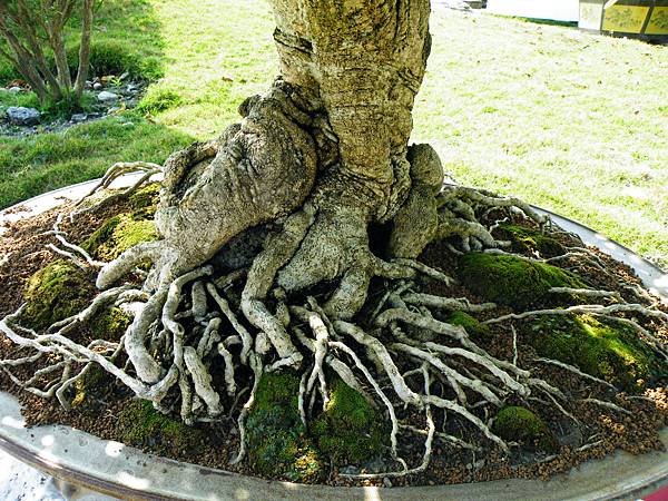 DSCF9262.JPG DSCF9262.JPG