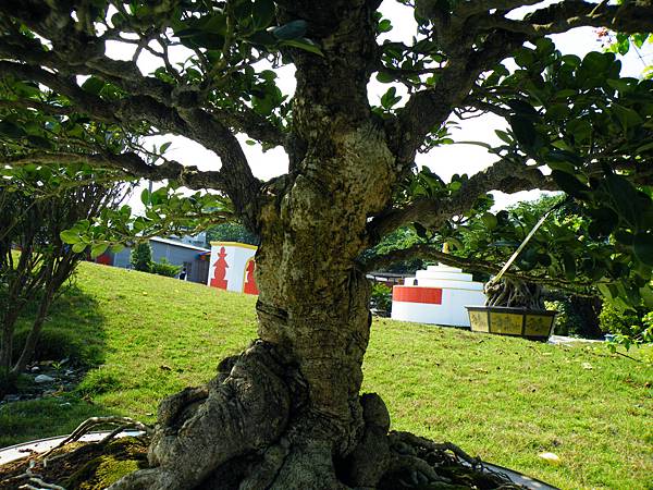 DSCF9263.JPG DSCF9263.JPG