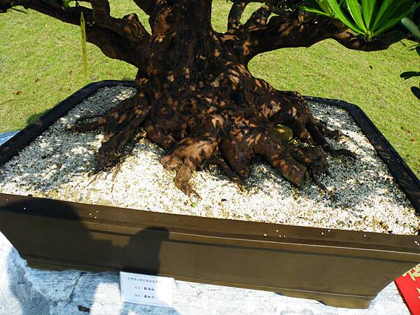 DSCF9268.JPG DSCF9268.JPG