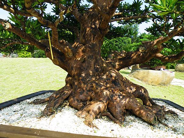 DSCF9269.JPG DSCF9269.JPG