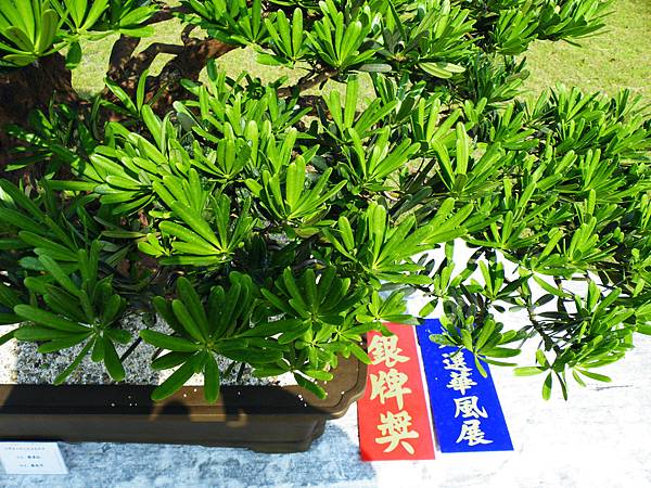 DSCF9271.JPG DSCF9271.JPG