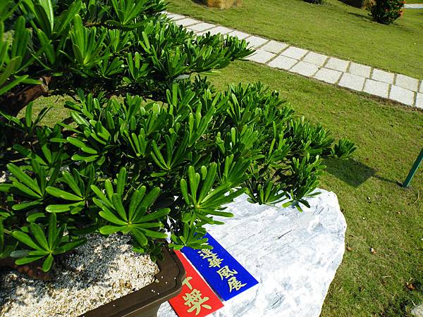 DSCF9272.JPG DSCF9272.JPG