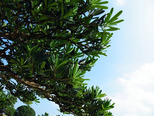 DSCF9273.JPG DSCF9273.JPG