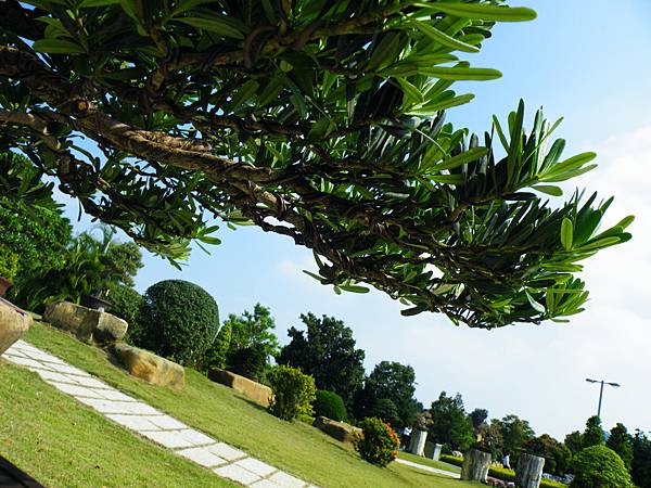 DSCF9274.JPG DSCF9274.JPG