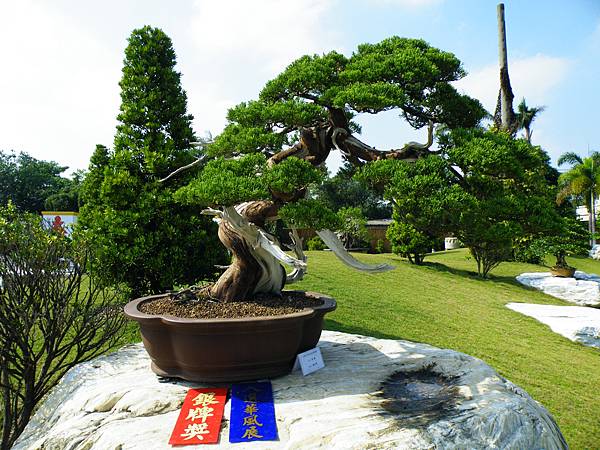 DSCF9276.JPG DSCF9276.JPG