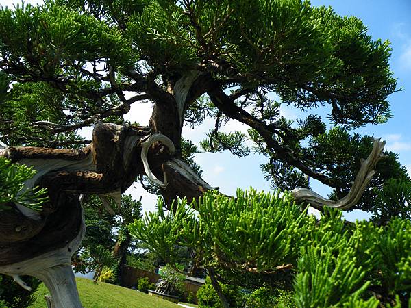 DSCF9279.JPG DSCF9279.JPG