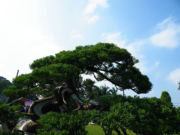 DSCF9280.JPG DSCF9280.JPG