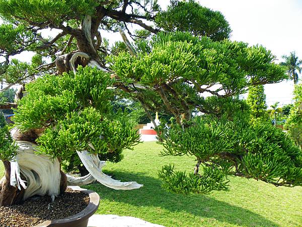 DSCF9281.JPG DSCF9281.JPG