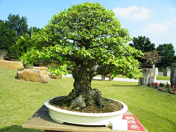 DSCF9282.JPG DSCF9282.JPG