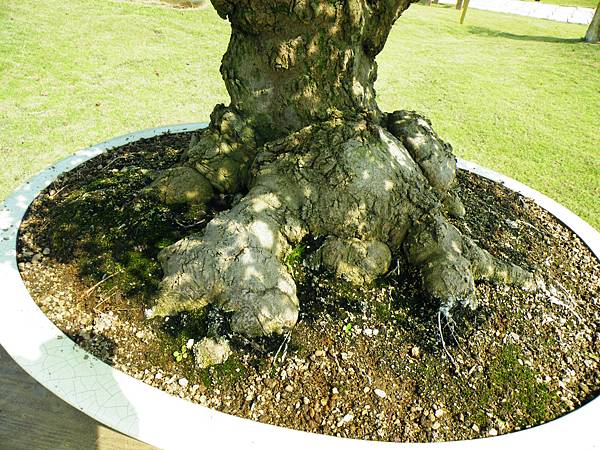 DSCF9283.JPG DSCF9283.JPG