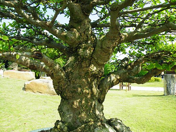 DSCF9284.JPG DSCF9284.JPG