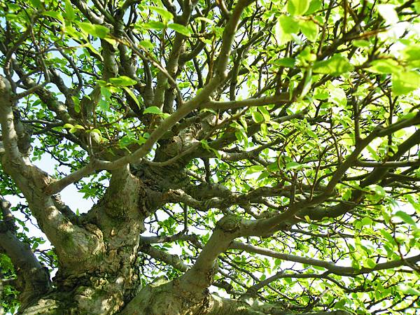 DSCF9285.JPG DSCF9285.JPG