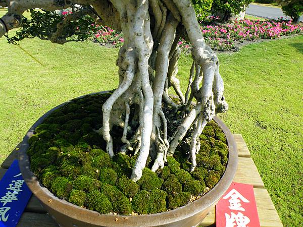 DSCF9289.JPG DSCF9289.JPG