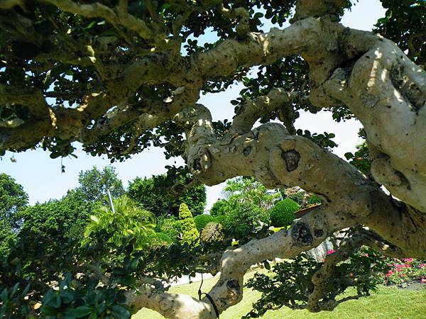 DSCF9291.JPG DSCF9291.JPG