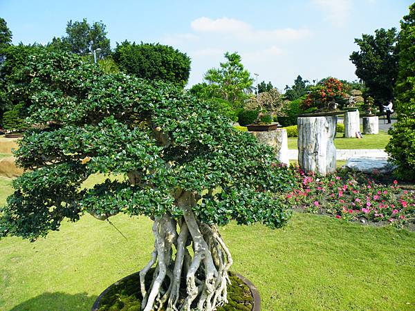 DSCF9294.JPG DSCF9294.JPG