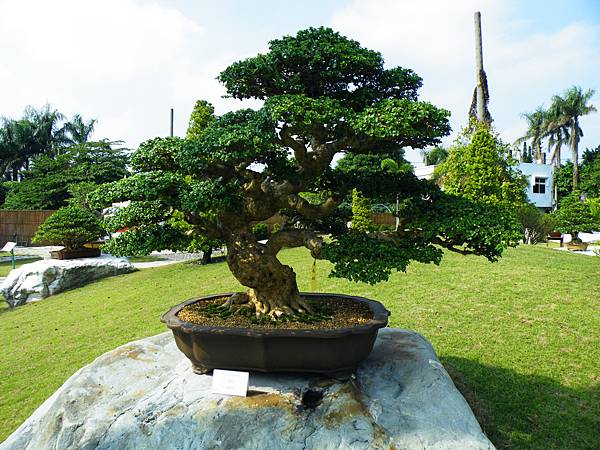 DSCF9300.JPG DSCF9300.JPG