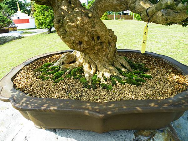 DSCF9301.JPG DSCF9301.JPG