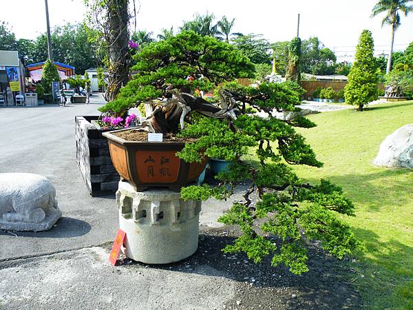 DSCF9306.JPG DSCF9306.JPG