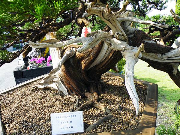 DSCF9307.JPG DSCF9307.JPG