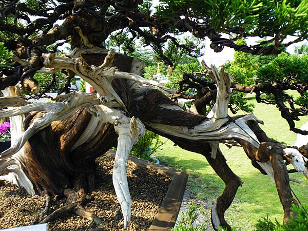 DSCF9308.JPG DSCF9308.JPG