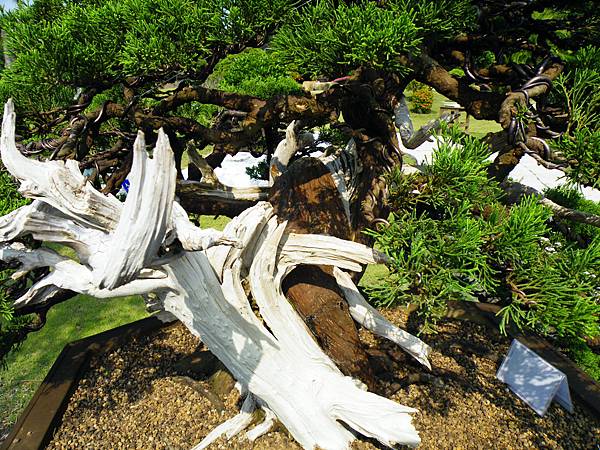 DSCF9309.JPG DSCF9309.JPG