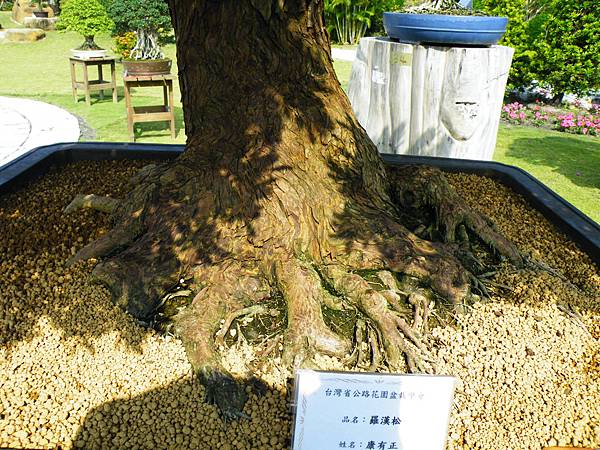 DSCF9312.JPG DSCF9312.JPG