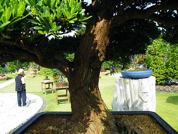 DSCF9313.JPG DSCF9313.JPG