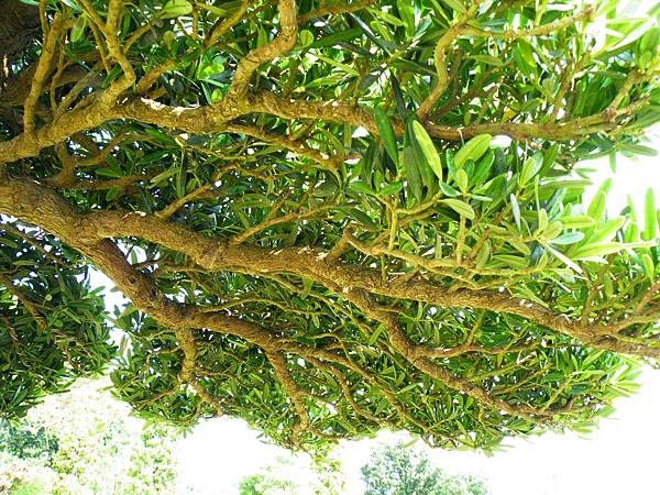 DSCF9315.JPG DSCF9315.JPG