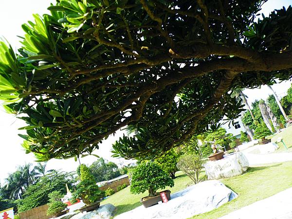 DSCF9316.JPG DSCF9316.JPG