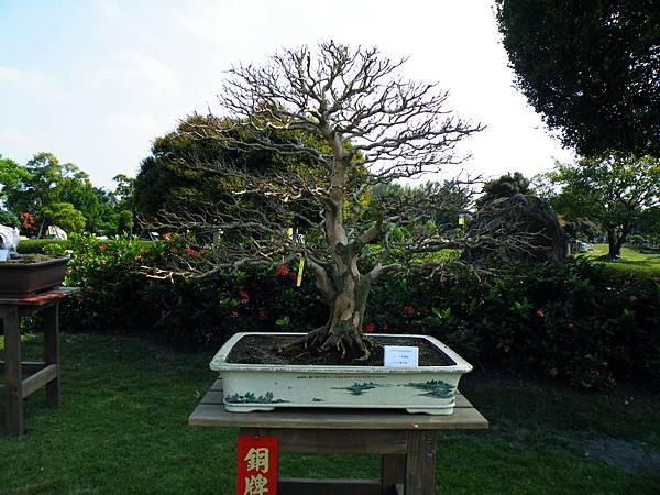 DSCF9318.JPG DSCF9318.JPG