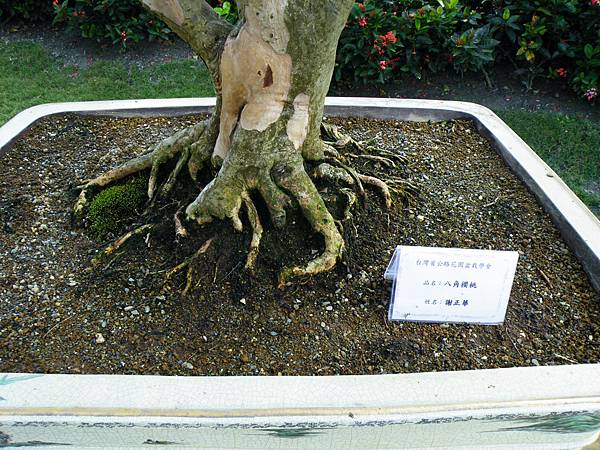 DSCF9319.JPG DSCF9319.JPG