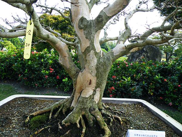 DSCF9320.JPG DSCF9320.JPG