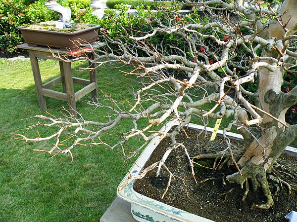 DSCF9323.JPG DSCF9323.JPG