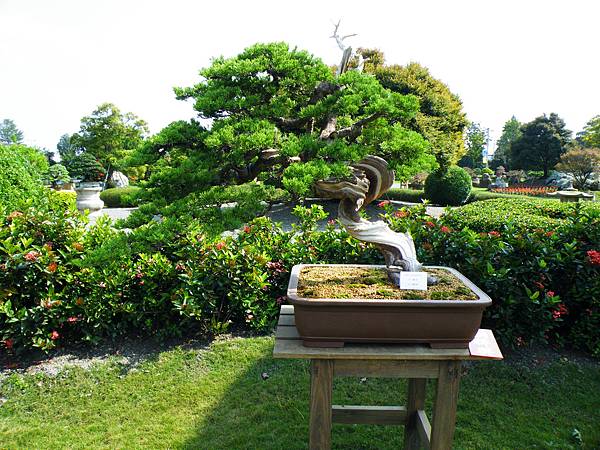 DSCF9324.JPG DSCF9324.JPG