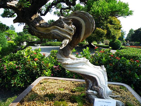 DSCF9325.JPG DSCF9325.JPG