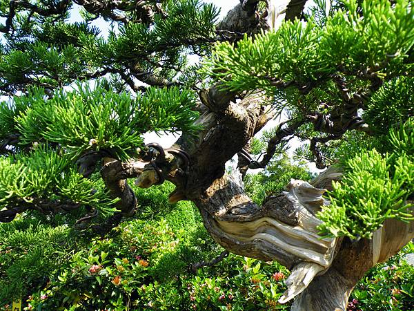 DSCF9326.JPG DSCF9326.JPG